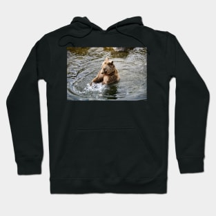 Bear in the water / Swiss Artwork Photography Hoodie